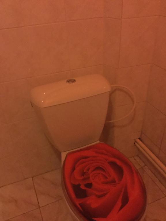 Lydiavi Apartment Vysoké Mýto Екстериор снимка